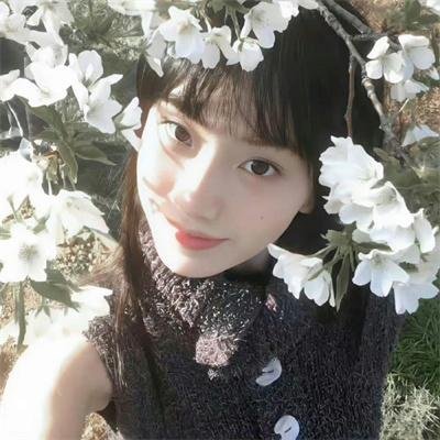 美人心蛊 在线观看